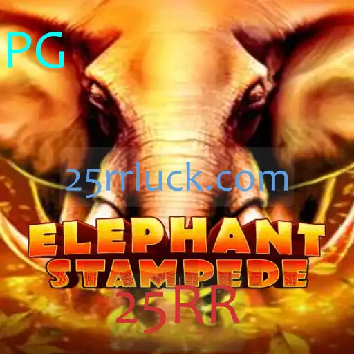 ElephantStampede: Explorando o Novo Fenômeno de Jogos
