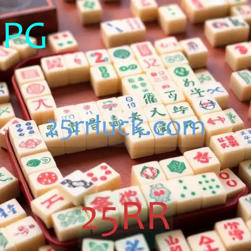 VIP Service 25RR - 24/7 Support and Exclusive Benefits